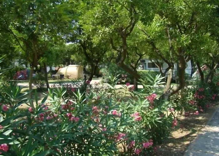 Zeus 3* بومبيي